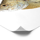 Poster van Relieve Sunfish Art (Hoek)