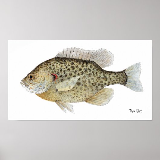 Poster van Relieve Sunfish Art (Voorkant)