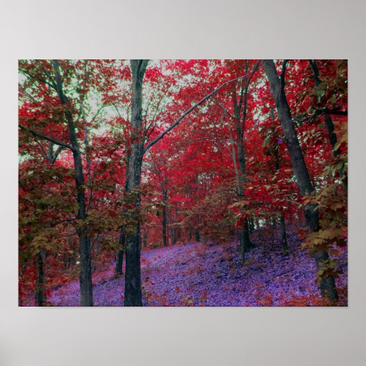 Poster van rode bomen (Voorkant)