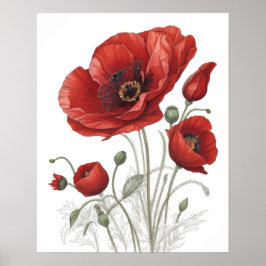 Poster van rode papaver