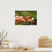 Poster van roze flessen (Keuken)