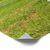 Poster van Shell (Hoek)