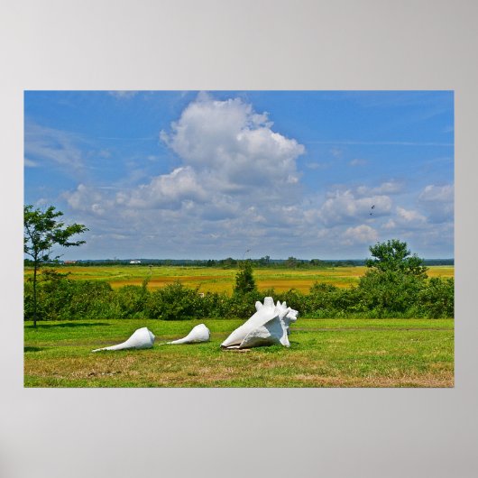 Poster van Shell (Voorkant)