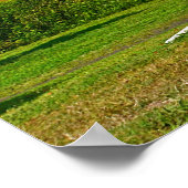 Poster van Shell (Hoek)