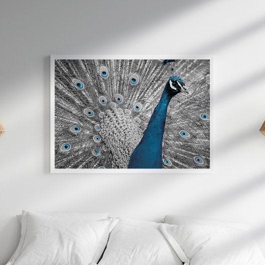 Poster van Silver en Turquoise Peacock