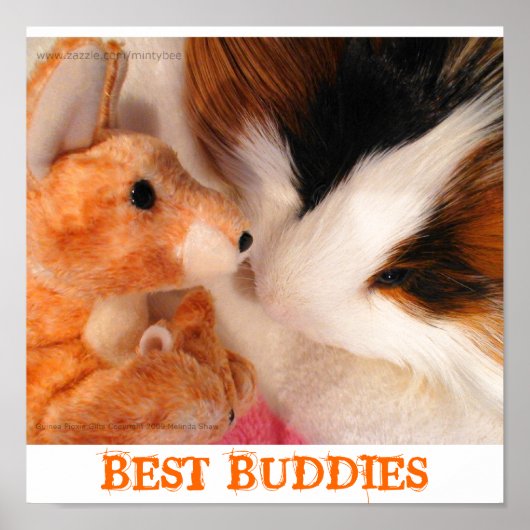 Poster van Skippy Pig en Roo Stuffy (Voorkant)