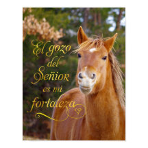 Poster van Spaanse Bijbelse Verse Smilling Horse