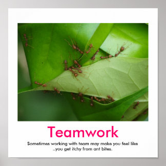 POSTER VAN TEAMWORK-demotivering