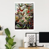 Poster van Trochilidae (Thuiskantoor)