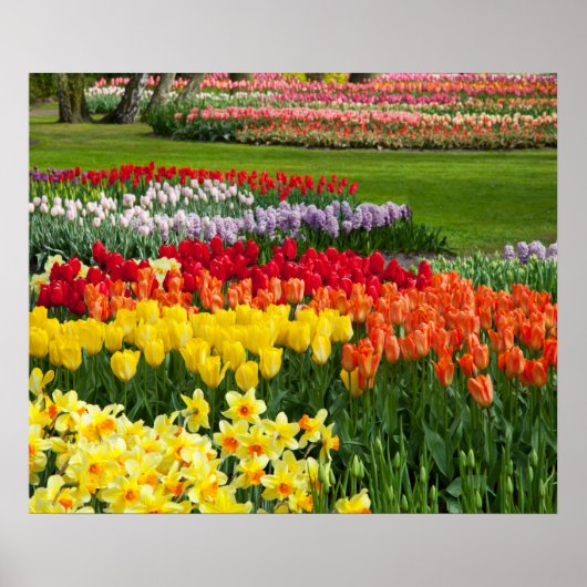 Poster van tuinbloemen (Voorkant)