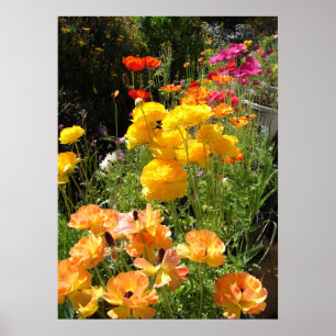 Poster van tuinbouwbloemen