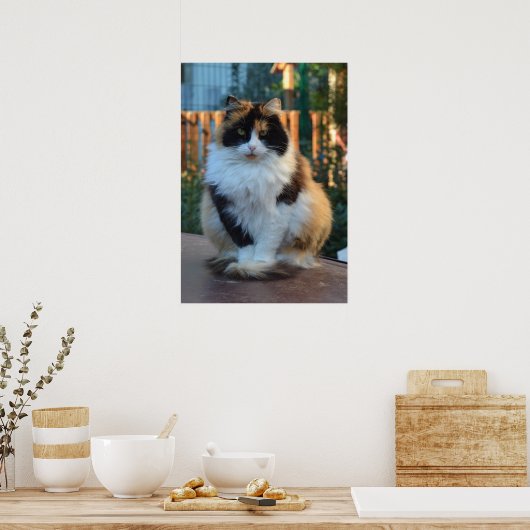 Poster Van turc (Cuisine)