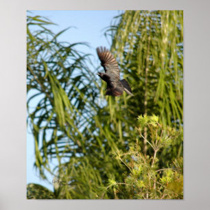 Poster van vliegende stollen