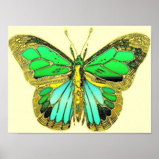 Poster van vlinder (Voorkant)