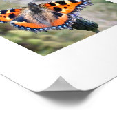 Poster van vlinder (Hoek)