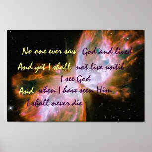 Poster van vlinder