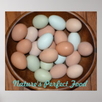 Poster van voedzame eieren