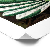 Poster van vogels (Hoek)