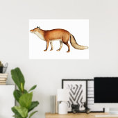 Poster van vos (Thuiskantoor)