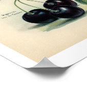 poster van  vruchten - Cherry (Hoek)