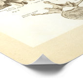 Poster van wervelkolom en wervels (Hoek)