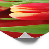 Poster van wijnovers (Hoek)