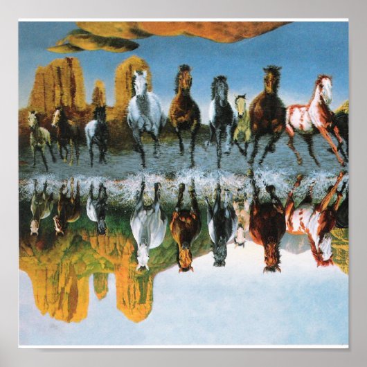 Poster van wilde paarden (Voorkant)