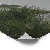 Poster van witte koolmiet (Hoek)