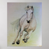 Poster van witte paarden (Voorkant)