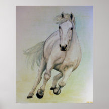 Poster van witte paarden