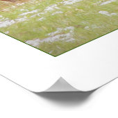 Poster van Yellowstone National Park met Bison & C (Hoek)