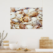 Poster van zeeschelpen (Keuken)
