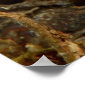 Poster van zoete kastanjes (Hoek)