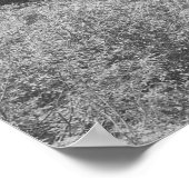 Poster van zwarte en witte bomen en bergen (Hoek)