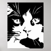 Poster van zwarte en witte katten (Voorkant)