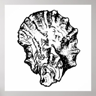 Poster van zwarte en witte oester Shell