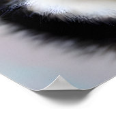 Poster van zwarte en witte pommeren (Hoek)