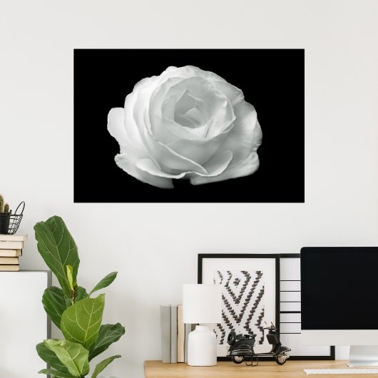 Poster van zwarte en witte rozen (Thuiskantoor)