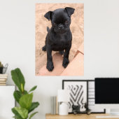 Poster van zwarte pug (Thuiskantoor)