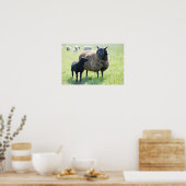 Poster van zwarte schapen (Keuken)