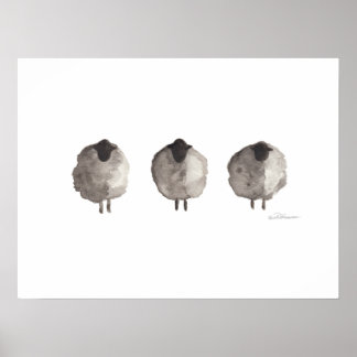 Poster van zwarte schapen