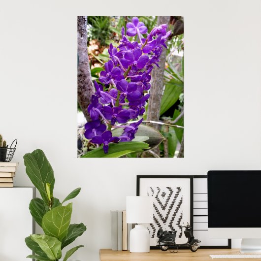 Poster Vanda Orchidées (Bureau à domicile)