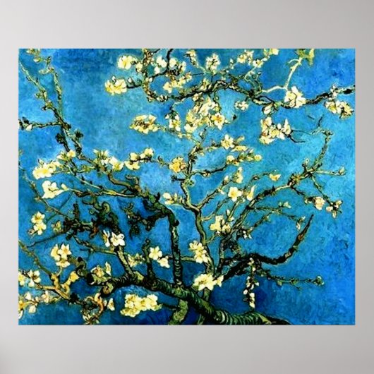 Poster VanGogh Almond Tree Blossoms (Devant)