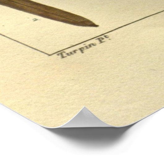 Poster VANILLE, Vanilla Plante Imprimer (Coin)