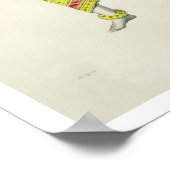 Poster Varaha, gravée par de Marlet (litho couleur) (Coin)