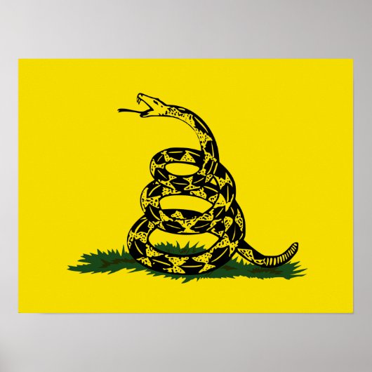 Poster Variante du drapeau de Gadsden (Devant)