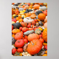 Variété de courge à vendre, Allemagne