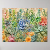 Poster Variété de Succulentes (Devant)