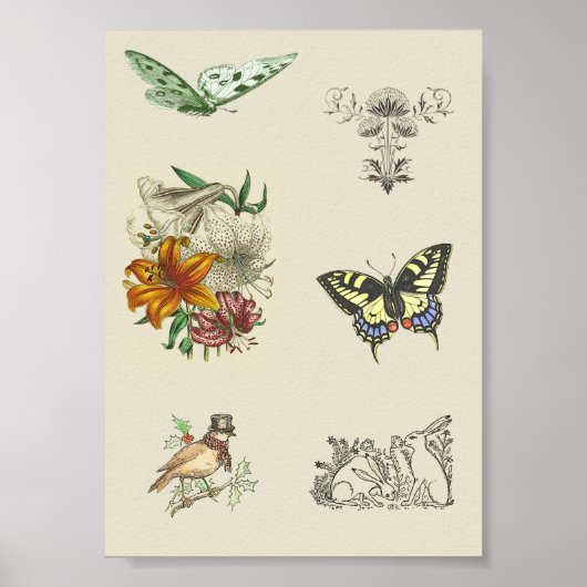 Poster Variété vintage Images de scrapbooking imprimables (Devant)