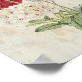 Poster Variétés botaniques vintages de Verbenas (Coin)